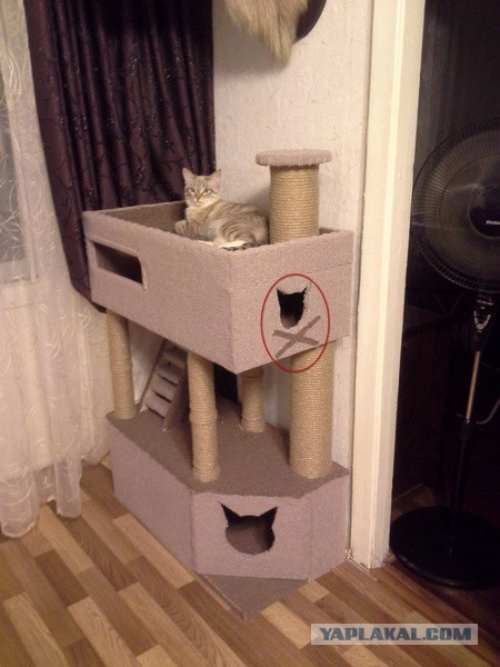 КОТтедж за 7 минут
