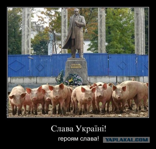 Российские флаги в Севастополе