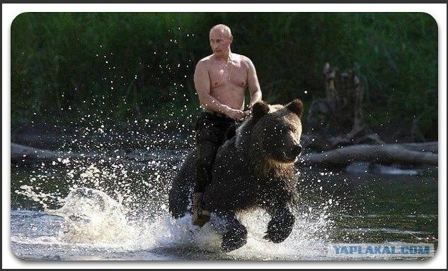 Путин Rulez