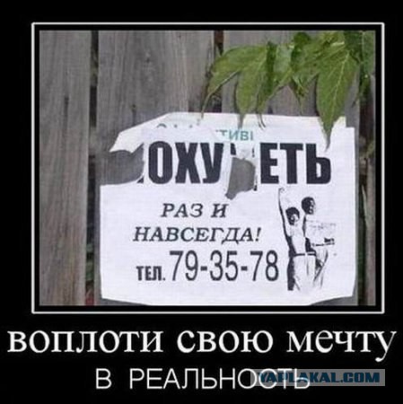 Подборка прикольных фото на начало мая