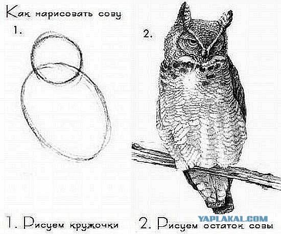 Как мы дом строили