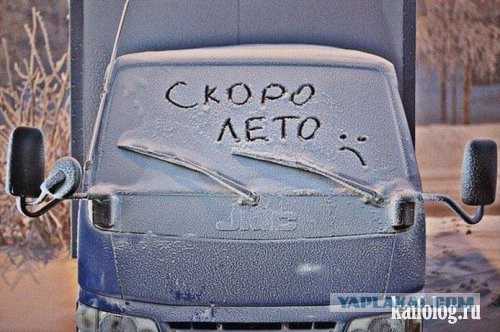 Картинки