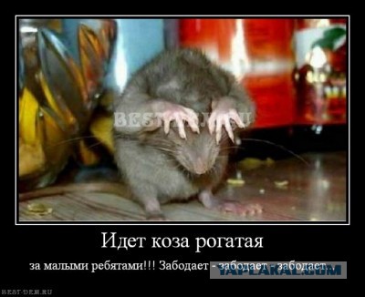 Поднимаем настроение