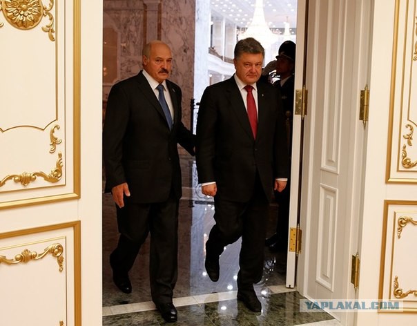 Путин прибыл в Минск на переговоры по Украине