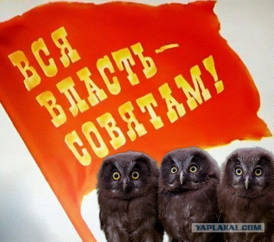 Веселые картинки