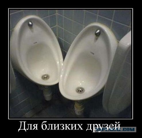 Весёлое из сети