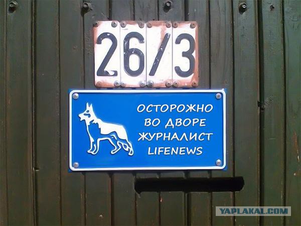 Сотрудник Lifenews гавкает на украинских коллег