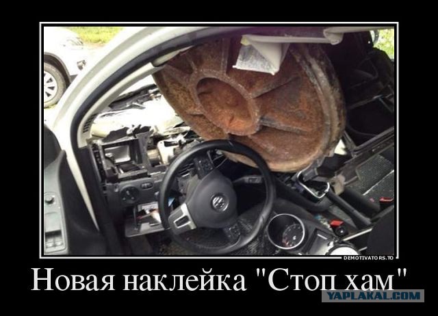 Картинки