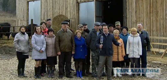 «Прямая линия» с Владимиром Путиным