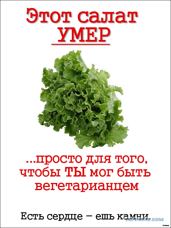Рубрика "Исторические факты от вегетрианцев"