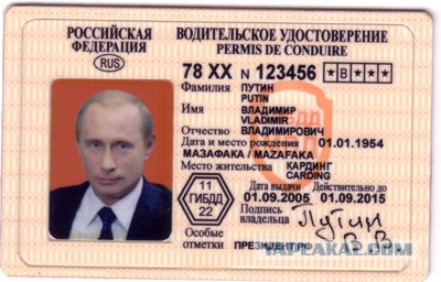 Ну не заметила она его...ее подрезали