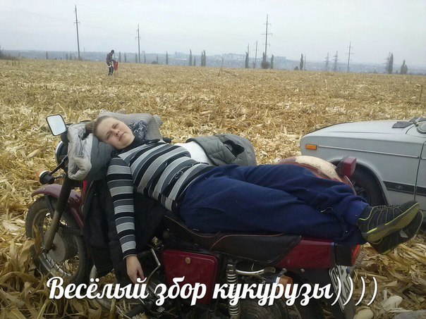 Ужасы и приколы из соцсетей 18+
