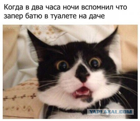 Картинки смешные и несмешные