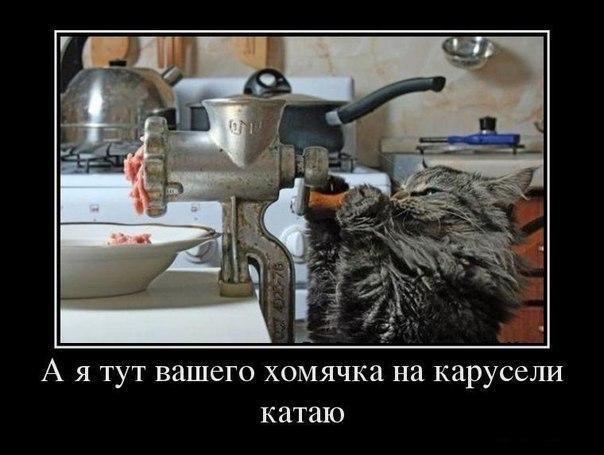 Картинки и демотиваторы