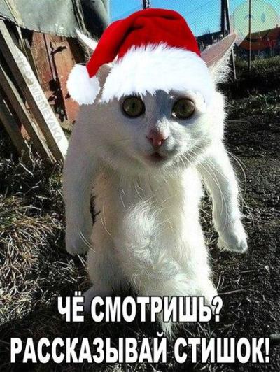 Новогодние демотиваторы 2016