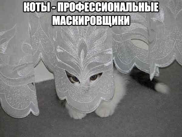 А давайте улыбнёмся В Новом Году