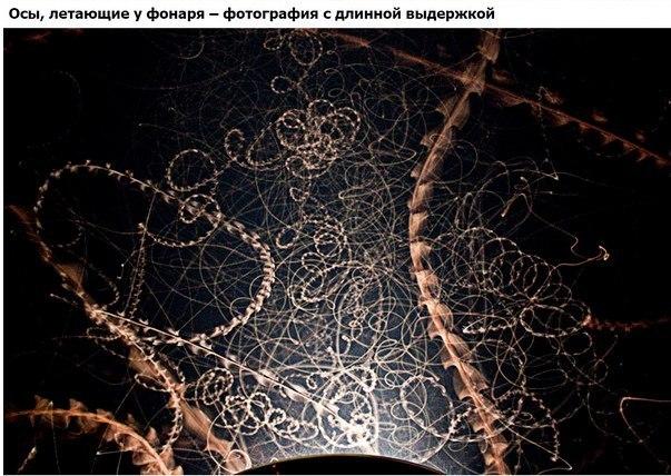 Интересные Научные Гифки и Картинки 6