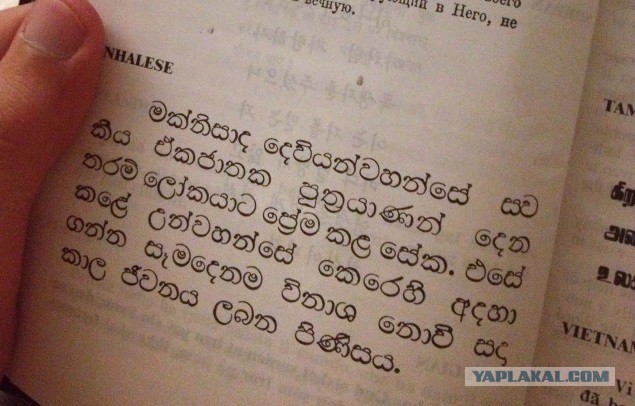 Как я побывал в США. Часть пятая. Заключительная