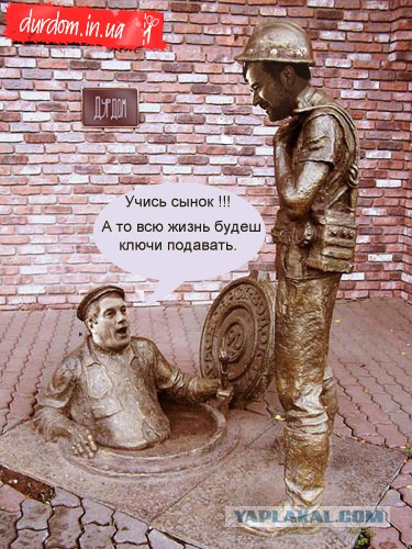 Попросил подсобника заменить вилку