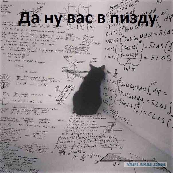 Интересные и смешные картинки!