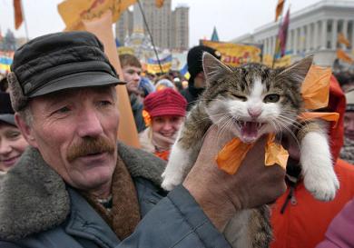 КОШКИ и ХОЗЯЕВА, подбрка картинок