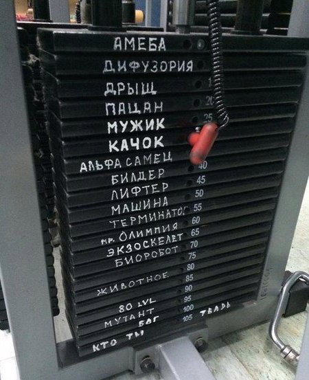 Подборка интересных и веселых картинок