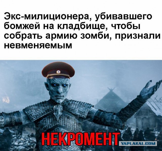 20 Смешных пикч