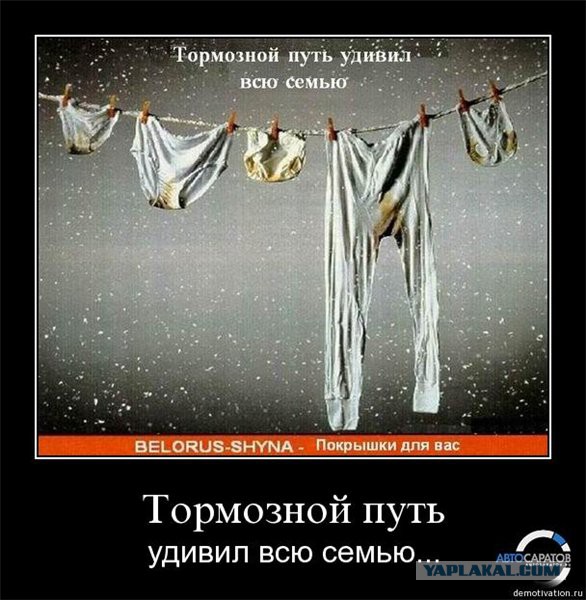 Тормозной путь удивил всю семью картинка