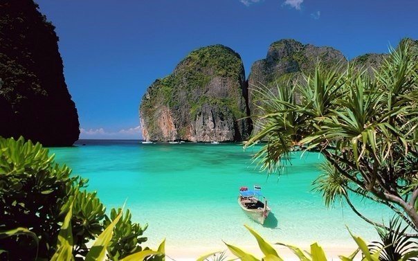 Моменты, запечатлённые на фото и просто позитив 5