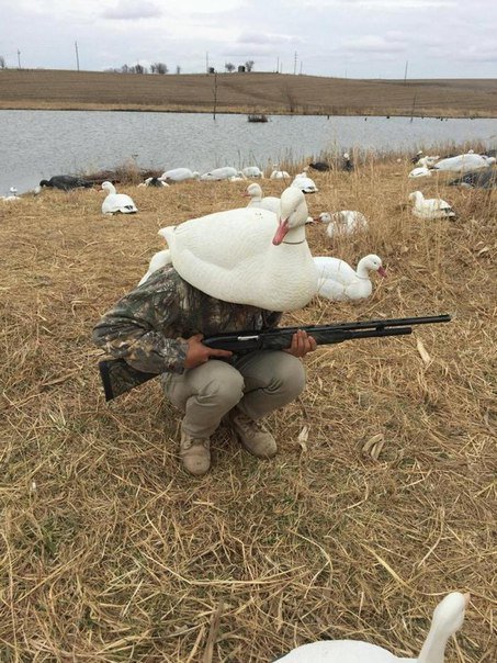 Камуфляжные фотки