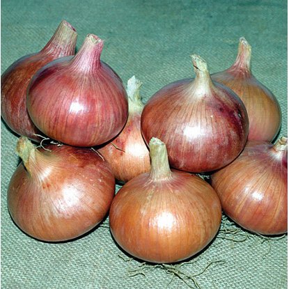 Для чего нужен ящик под духовкой в плите?