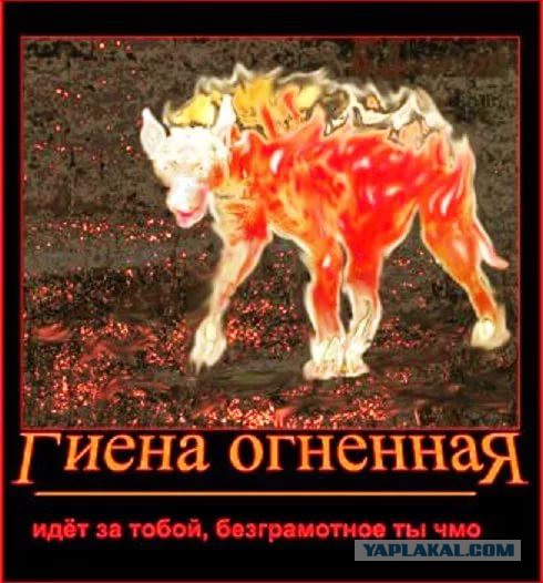 19 августа 2017 года