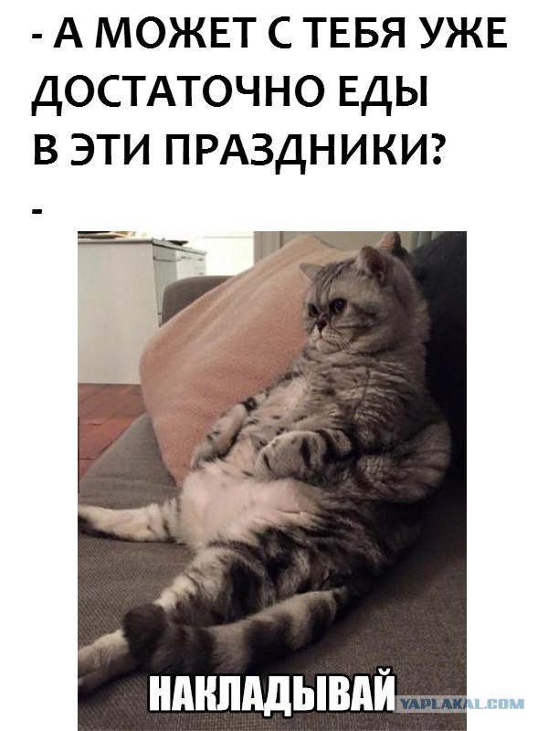 А вот и деградация подтянулась! Ныряем в омут с головой!
