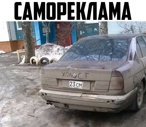 Автовсячина