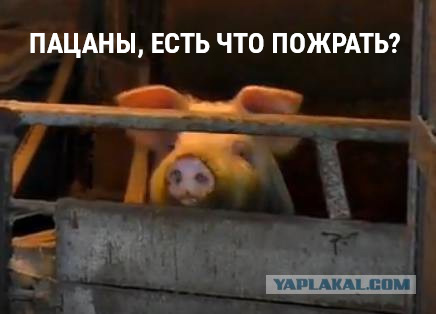 Как я собрал мощный ветрогенератор способный запитать целый дом!