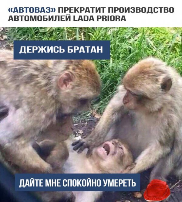 Не очень адекватный юмор