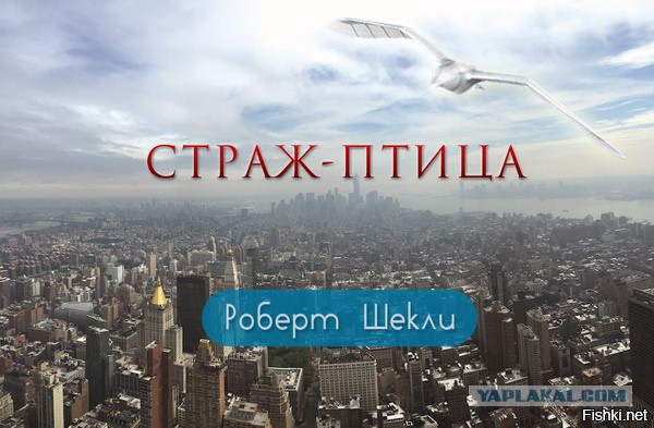 В Китае начали делать дроны, похожие на птиц. Для слежки за жителями?