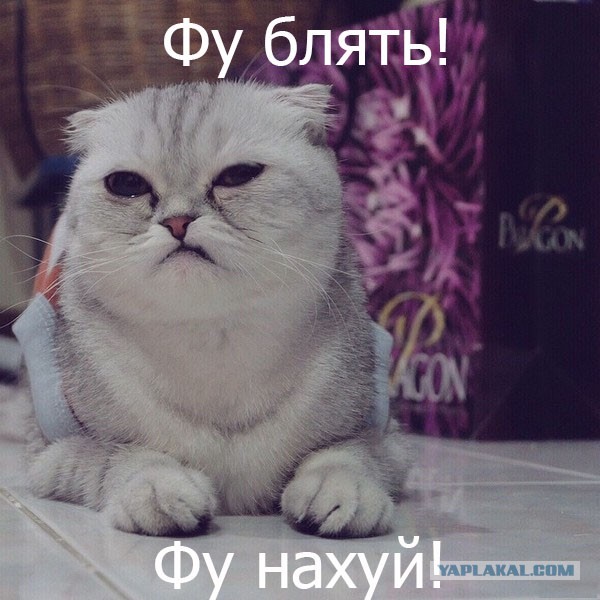 Кого звать, если...