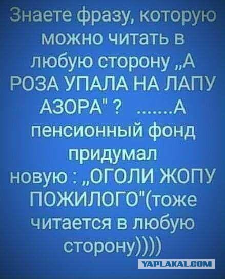Чуток картинок 02.11.19