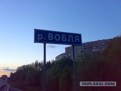 Кафе-бар с народным названием
