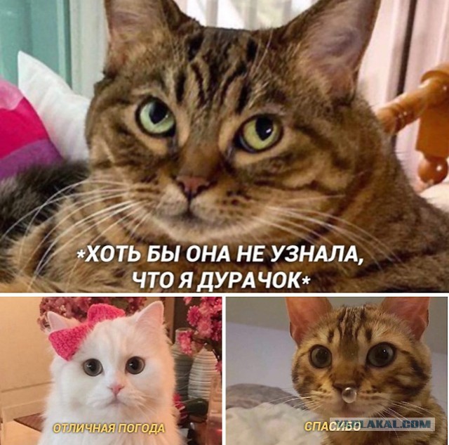Чуток картинок 27.12.19