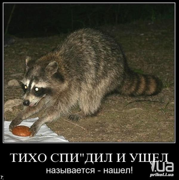 Гнобят, а потом кричат, что мужиков не осталось: психолог — о том, почему мужчина «не должен»