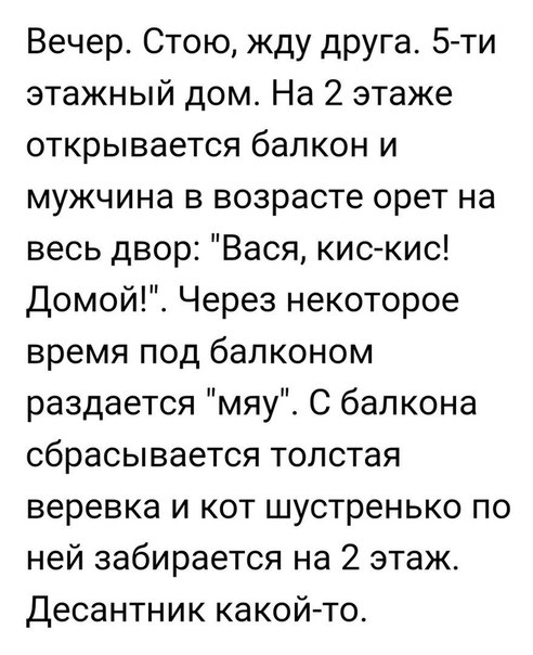 Чуток картинок. 02.02.20