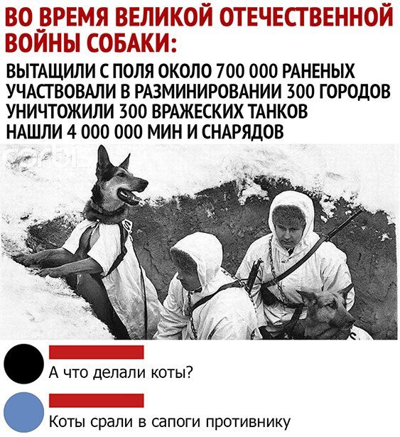 Алкопост! В картинках