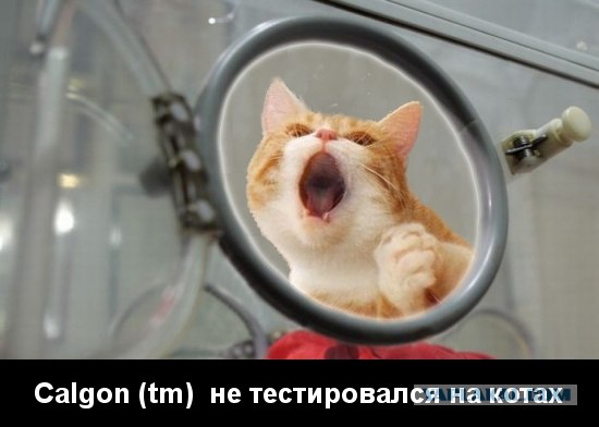 Кот певец
