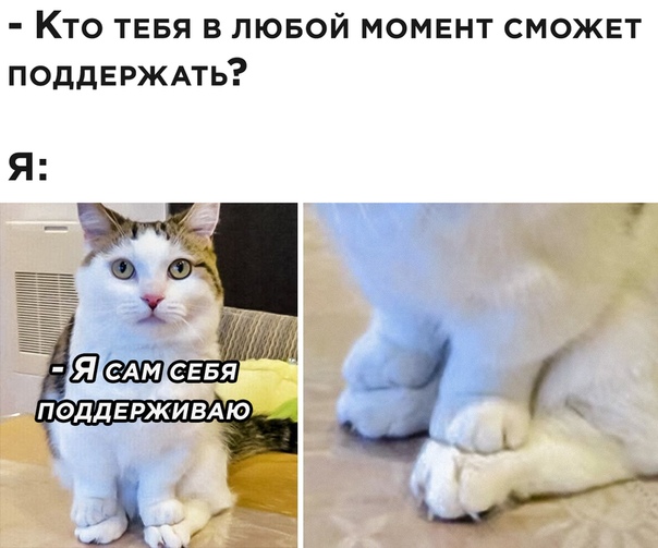 Немного картинок для настроения 30.10.20