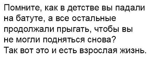Фотки и картинки: юморные и красивые, забавные и милые 09.11.20