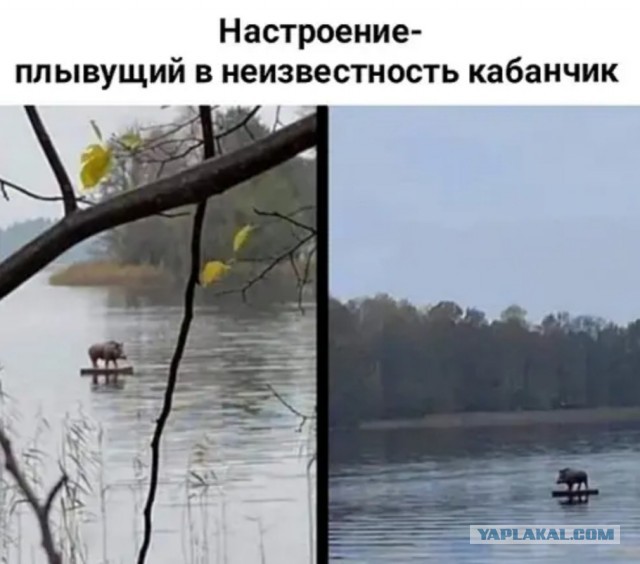 Бредзона 12.11.2020