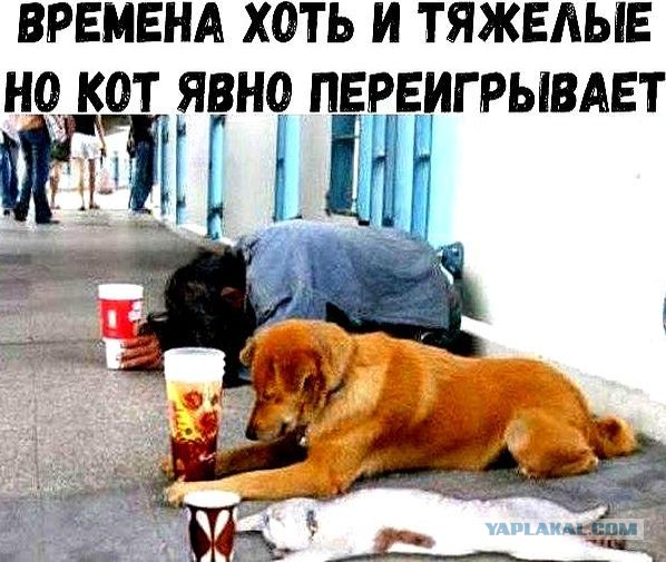 6 главных причин, почему женщинам не нравится борода