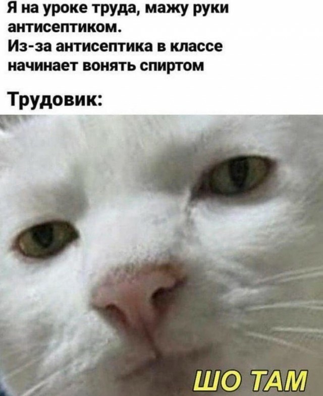 Весёлый полтишок 13.03